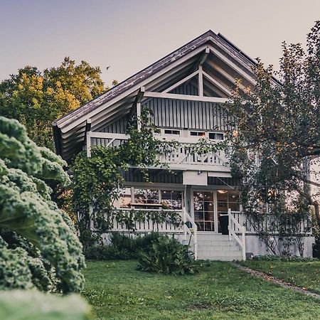 Gardenia-Altach, 2-4 P, Kueche, Garten, Terrasse, Parkplatz, Wifi, Ski Stellplatz Bagian luar foto